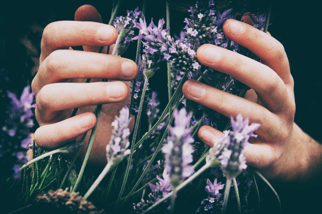 Reiki, Énergétique, Magnétisme et Bien-Être - Ventabren, Eguilles, Aix-en-Provence